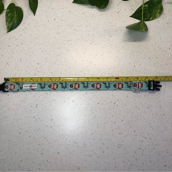 Dog collar: Ryan Gosling ‘Hey Girl’ novelty dog collar - fits 10”- 16” neck - Picture 8 of 14